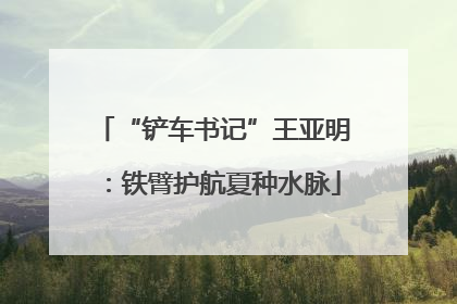 “铲车书记”王亚明：铁臂护航夏种水脉
