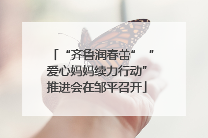 “齐鲁润春蕾”“爱心妈妈续力行动”推进会在邹平召开