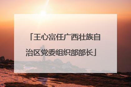 王心富任广西壮族自治区党委组织部部长
