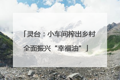 灵台：小车间榨出乡村全面振兴“幸福油”