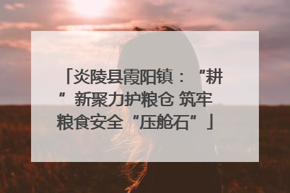 炎陵县霞阳镇：“耕”新聚力护粮仓 筑牢粮食安全“压舱石”