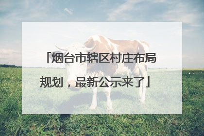 烟台市辖区村庄布局规划，最新公示来了
