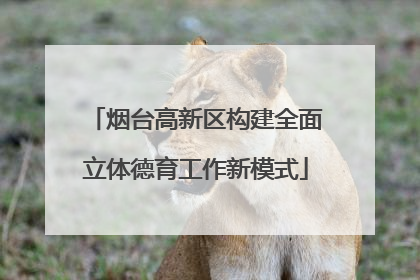 烟台高新区构建全面立体德育工作新模式