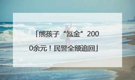 熊孩子“氪金”2000余元！民警全额追回