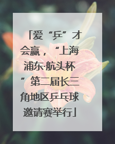 爱“乒”才会赢，“上海浦东·航头杯”第二届长三角地区乒乓球邀请赛举行