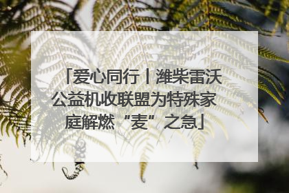 爱心同行丨潍柴雷沃公益机收联盟为特殊家庭解燃“麦”之急