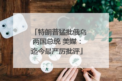 特朗普猛批俄乌两国总统 美媒：迄今最严厉批评