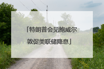 特朗普会见鲍威尔 敦促美联储降息