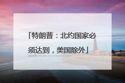 特朗普：北约国家必须达到，美国除外