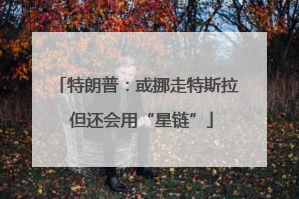 特朗普：或挪走特斯拉 但还会用“星链”
