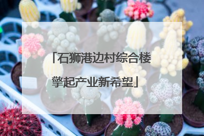 石狮港边村综合楼擎起产业新希望