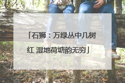 石狮：万绿丛中几树红 湿地荷塘韵无穷