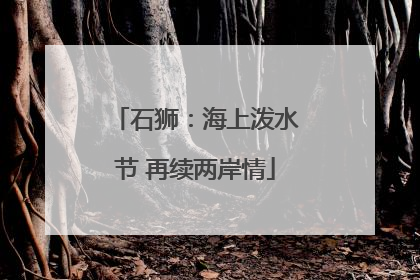 石狮：海上泼水节 再续两岸情