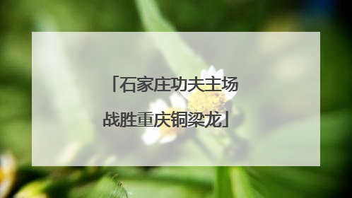 石家庄功夫主场战胜重庆铜梁龙