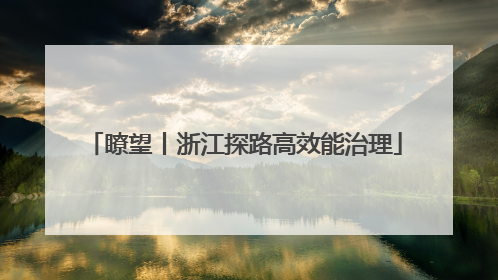 瞭望丨浙江探路高效能治理