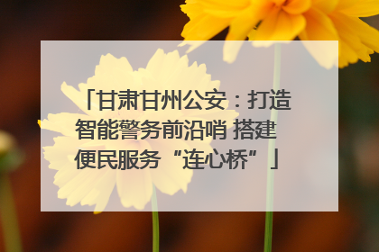 甘肃甘州公安：打造智能警务前沿哨 搭建便民服务“连心桥”