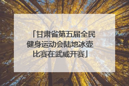 甘肃省第五届全民健身运动会陆地冰壶比赛在武威开赛
