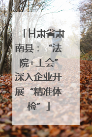 甘肃省肃南县：“法院+工会”深入企业开展“精准体检”