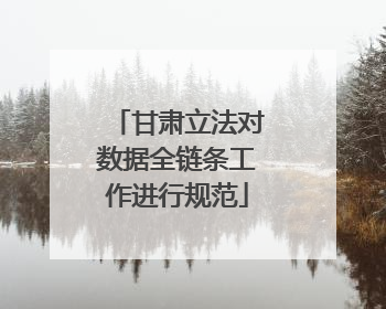 甘肃立法对数据全链条工作进行规范