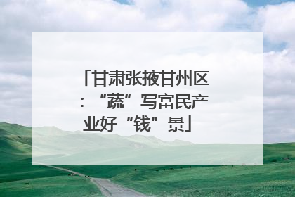 甘肃张掖甘州区：“蔬”写富民产业好“钱”景