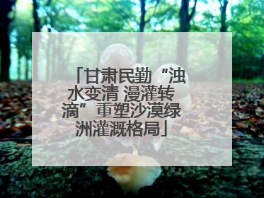 甘肃民勤“浊水变清 漫灌转滴”重塑沙漠绿洲灌溉格局