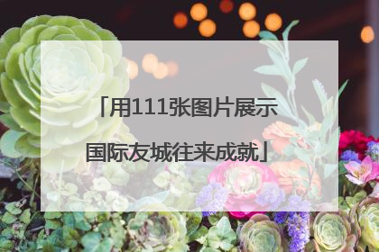用111张图片展示国际友城往来成就