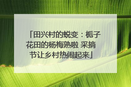 田兴村的蜕变：栀子花田的杨梅熟啦 采摘节让乡村热闹起来