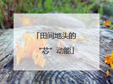 田间地头的“芯”动能