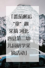 番茄邂逅 “童”趣采摘 河北唐县第二幼儿园研学采摘活动