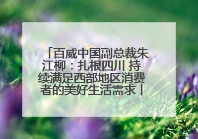 百威中国副总裁朱江柳：扎根四川 持续满足西部地区消费者的美好生活需求丨西望四川