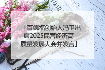 百德福创始人冯卫出席2025民营经济高质量发展大会并发言