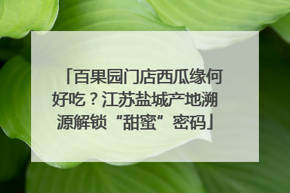 百果园门店西瓜缘何好吃？江苏盐城产地溯源解锁“甜蜜”密码