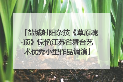 盐城射阳杂技《草原魂·顶》惊艳江苏省舞台艺术优秀小型作品调演