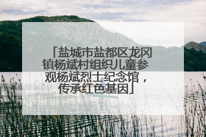 盐城市盐都区龙冈镇杨斌村组织儿童参观杨斌烈士纪念馆，传承红色基因