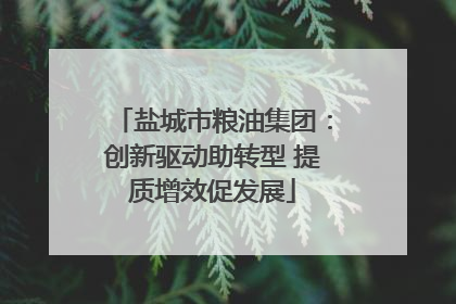 盐城市粮油集团：创新驱动助转型 提质增效促发展