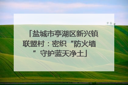 盐城市亭湖区新兴镇联盟村：密织“防火墙”守护蓝天净土