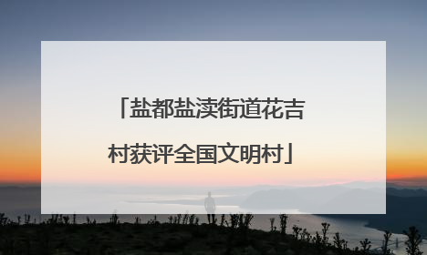 盐都盐渎街道花吉村获评全国文明村