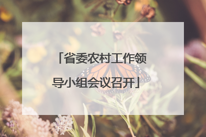 省委农村工作领导小组会议召开