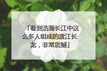 看到浩瀚长江中这么多人组成的渡江长龙，非常震撼