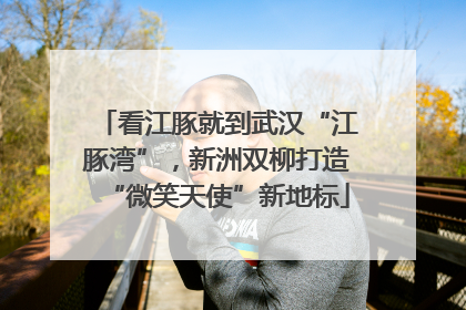 看江豚就到武汉“江豚湾”，新洲双柳打造“微笑天使”新地标