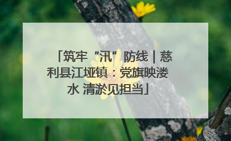 筑牢“汛”防线｜慈利县江垭镇：党旗映溇水 清淤见担当