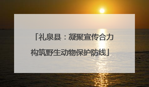 礼泉县：凝聚宣传合力构筑野生动物保护防线