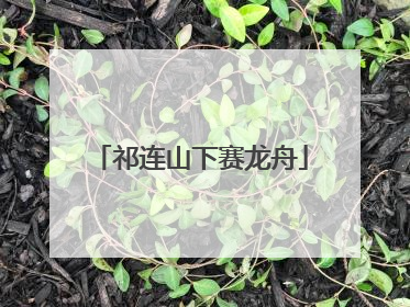 祁连山下赛龙舟