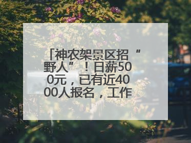 神农架景区招“野人”！日薪500元，已有近4000人报名，工作职责包括“接受游客投喂”