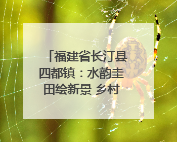 福建省长汀县四都镇：水韵圭田绘新景 乡村振兴谱华章