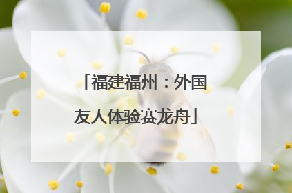 福建福州：外国友人体验赛龙舟