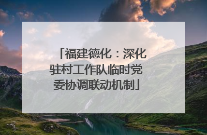 福建德化：深化驻村工作队临时党委协调联动机制