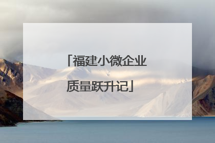 福建小微企业质量跃升记