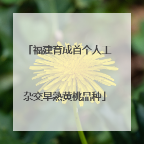福建育成首个人工杂交早熟黄桃品种