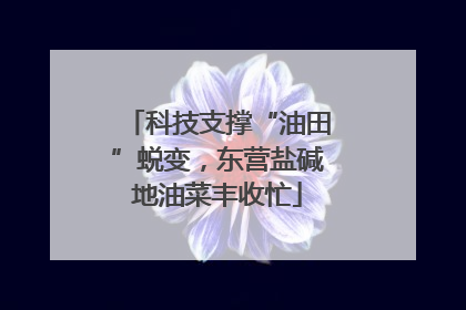 科技支撑“油田”蜕变，东营盐碱地油菜丰收忙